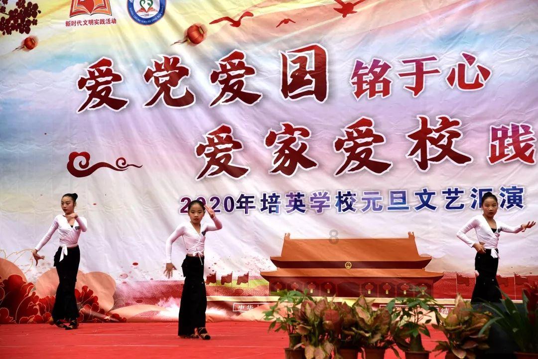 植物大战僵尸14